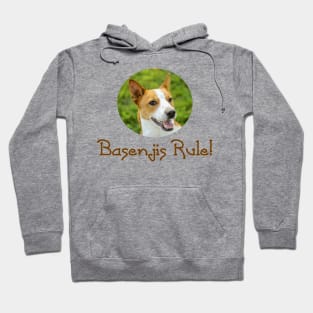 Basenjis Rule! Hoodie